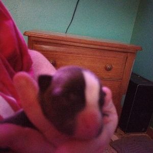 Meet your Posher, Kelsey